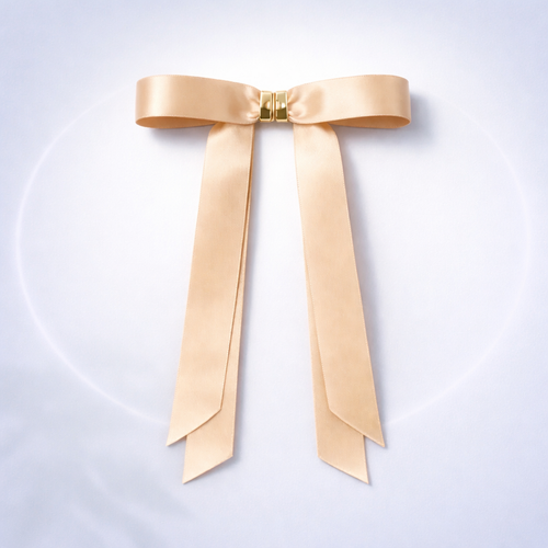 Magnetic Bow Hair Clip